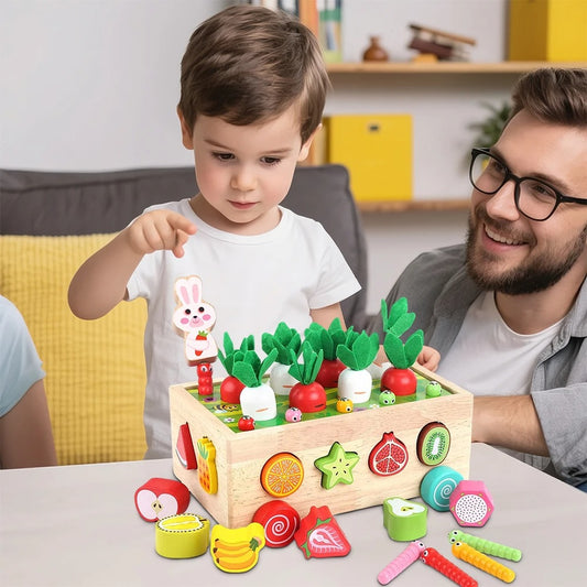 Wooden Sorting Matching